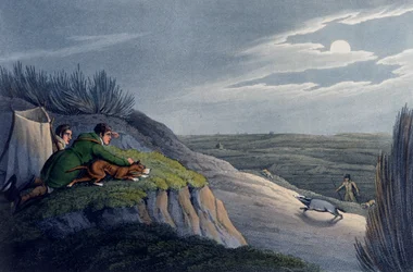 Badger Catching, 1820